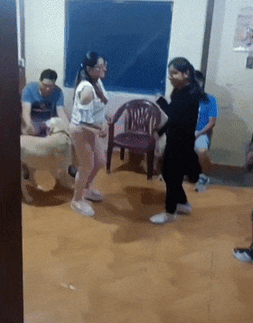 댄스파티에서 돋보인 멍멍이