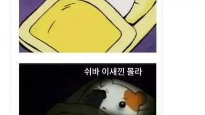 요즘 대한민국 국민이 피곤한이유