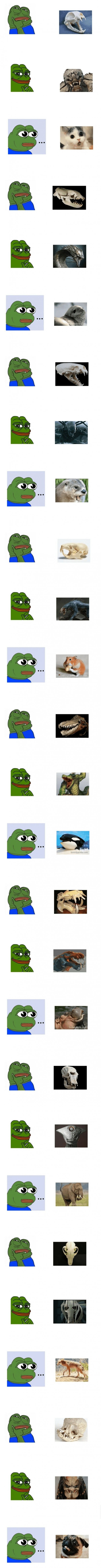 1090285084_FGJ2L3pm_1729473806.png