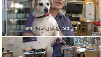 마지막으로 동물농장까지 나와서 TV 출연하기 도장깨기 완료한 천재 강아지.jpg