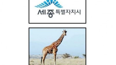 사람들이 생각하는 세종대학교 vs 실제 세종대학교