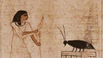 고대 이집트인의 삶이 힘들었던 이유