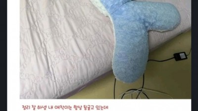 애착인형 자랑하는 웃대인들