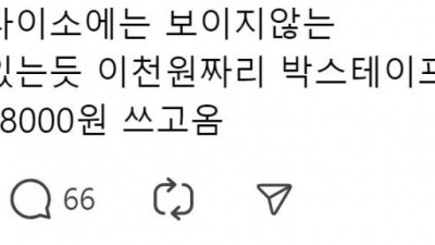 다이소에는 보이지 않는 깡패가  있는 듯