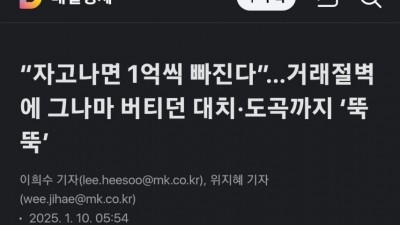 “자고나면 1억씩 빠진다”…거래절벽에 그나마 버티던 대치·도곡까지 ‘뚝뚝’
