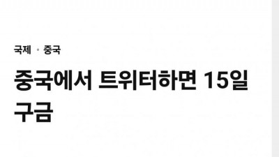  중국에서 하면 15일 구금당하는것