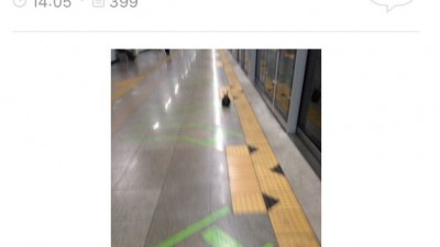  지하철에 토끼있어 대박