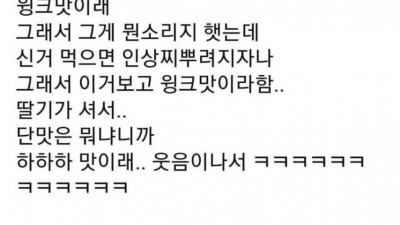 애기의 맛표현