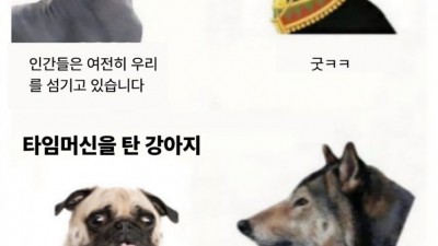 조상을 만난 고양이와 댕댕이