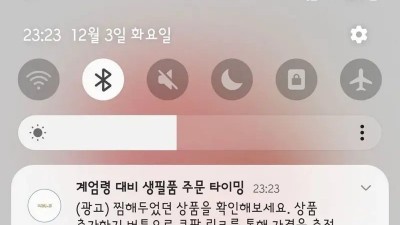 쿠팡의 틈새시장 공략
