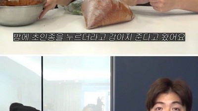 강아지가 아기 낳았다고 준다고 했던 강남의 이웃집 꼬마