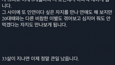 부동산갤에 올라온 글 : ㅂㅈ는 보세요