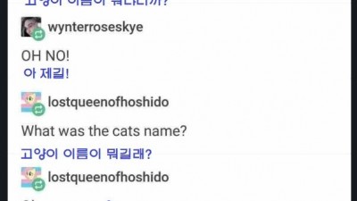 유명작가와 이름을 말 할 수 없는 그의 고양이