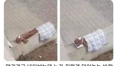 누군가의 친절함이 부른 대참사