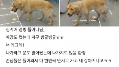 편의점에 난입한 골든 리트리버.jpg