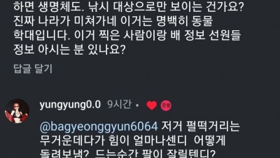 캣맘의 시대는 갔다. 이제는 상어맘이 왔다