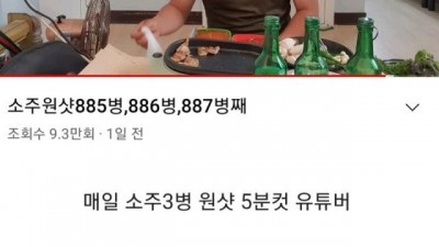 소주 원샷 유튜버 간 수치