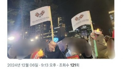 탄핵 시위에 등장한 수상한 깃발들