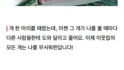 벌 받는 서양 고양이들.jpg