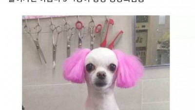 들어가면 ㅈ되는 미용실 특