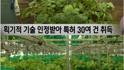 발칵 뒤집힌 충남 보령