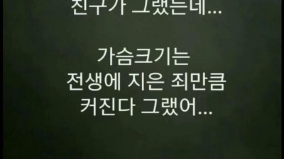가슴 크기의 진실