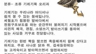 최악의 조류                    ical-align: 