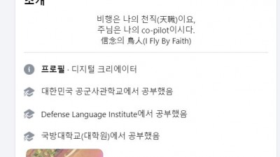 현직 항공기 조종사분이 사고 관련해서 올리신 글
