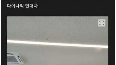 현대차 직원 복지 수준