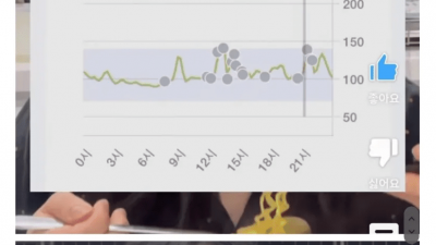 혈당 스파이크 막으려면 채소 얼마나 먹어야될지 실험결과