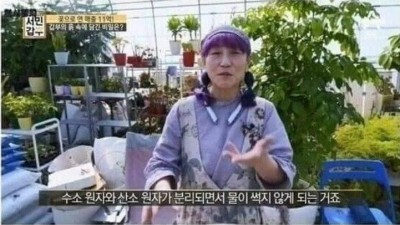 흐르는 물이 썩지 않는 이유
