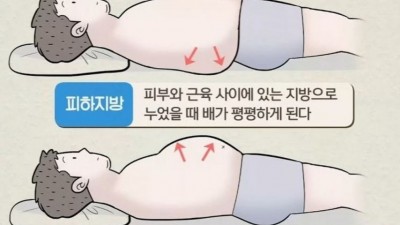 피하지방과 내장지방 차이