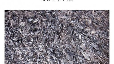 리더 잘못뽑아서 멸종해버린 생물.jpg