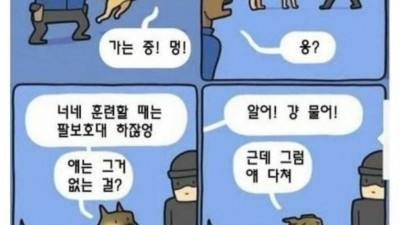 많은 경찰견들이 탈락하는 의외의 이유.jpg