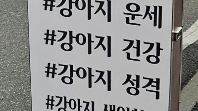 반려동물 시장 새로운 먹거리 ㄷㄷㄷ