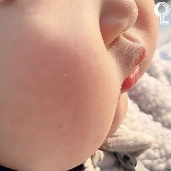 1090285488_ohTEJ219_1731029141.jpeg