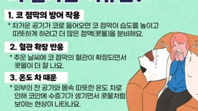 추운날 콧물이