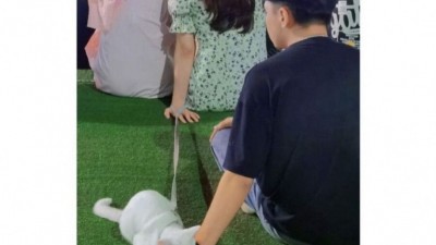 아빠.. 엄마 어떻게 만났어?