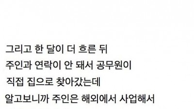 갑자기 유튜버 집에 들어온 떠돌이개가 알고보니 부잣집 도련님이었음.jpg