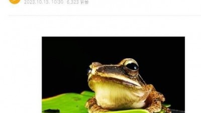 여자들이 이토인을 보면 졸린다고 하는 이유 ㅠㅠ