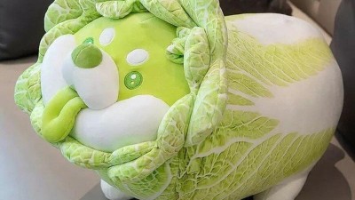 보자마자 개추라는 말이 나오는 사진.jpg