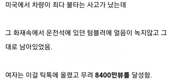 1090285559_XOfMJ491_1730424578.jpg