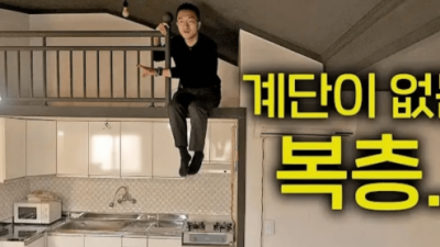 요즘 복층 수준