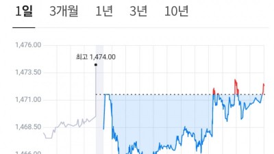 정직한 환율