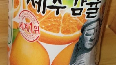 제주도 티팬티