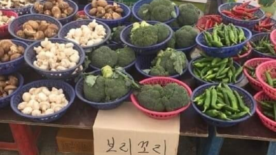 보리꼬리 모음.jpg