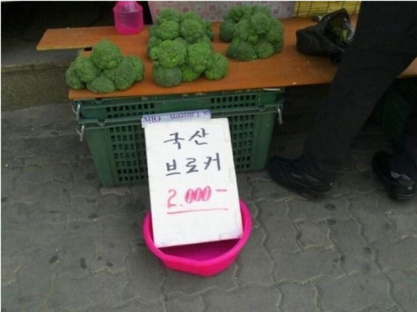 1090285612_rb4Wng9Y_1730164838.png