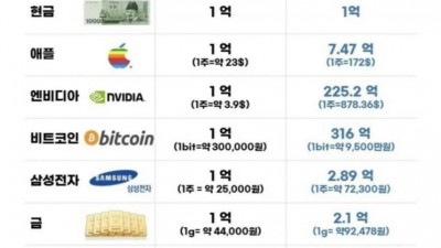 10년전 1억을 투자했다면 지금은?