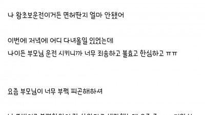 운전면허 절대 안따려고했던 사람들도 어쩔수없이 따는 경우