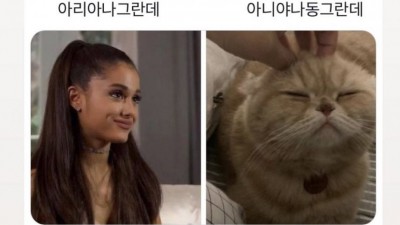 아니야 나 동그란데